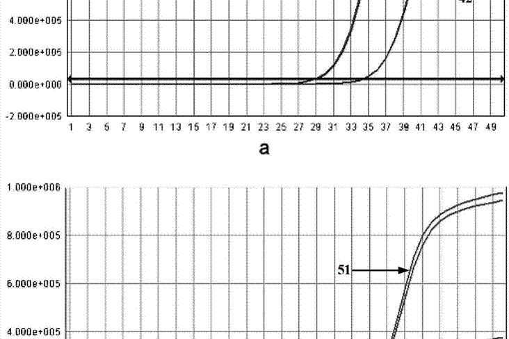 一種突變型Taq酶及其製備方法