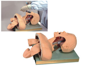 KAS-50高級人體氣管插管訓練模型