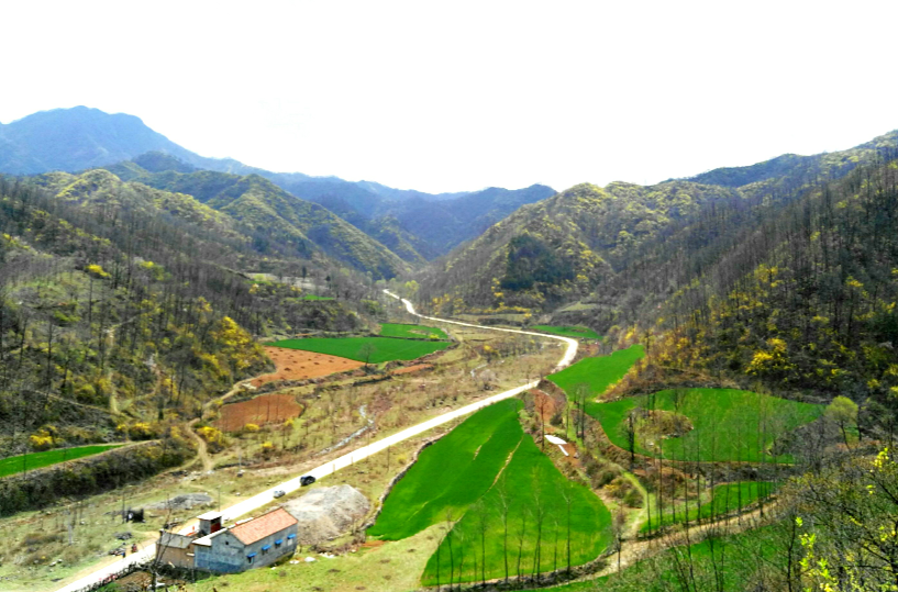 楊寺溝