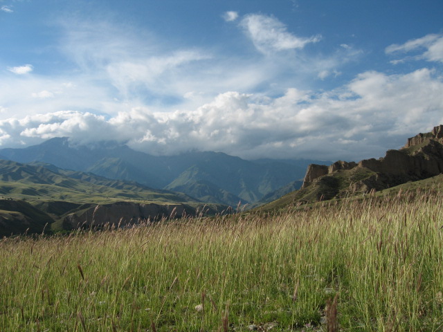 阿力麻里城遺址(阿力麻里古城)