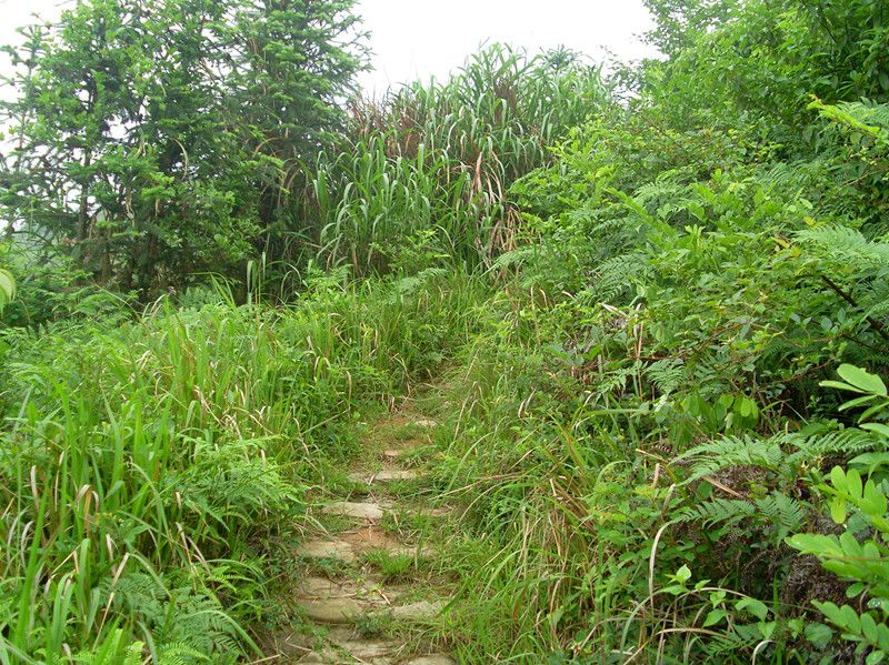 溫嶺盤山古道