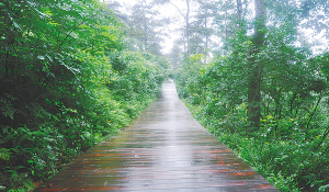 南京遊子山國家森林公園