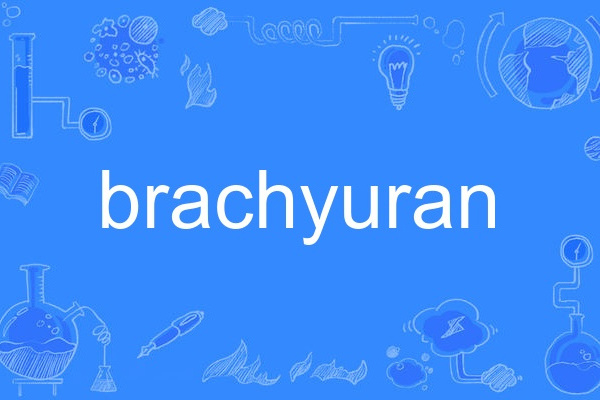 brachyuran