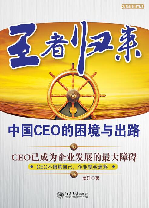 王者歸來——中國CEO的困境與出路(王者歸來（姜洋著，北京大學出版社出版圖書）)