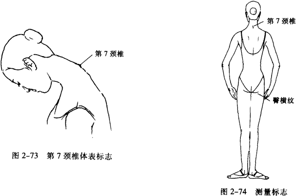 臀溝高