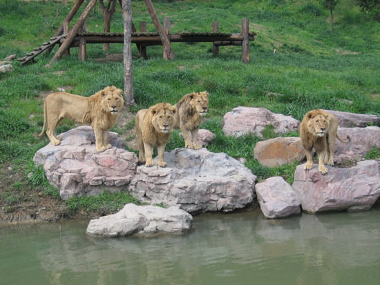 比利時天堂動物園