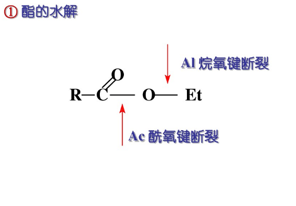 雙分子鹼催化醯氧斷裂