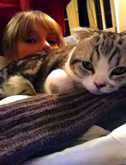 meredith