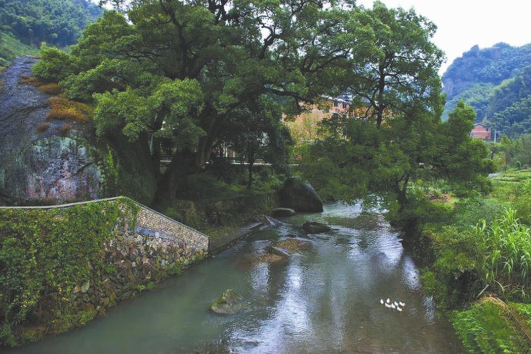 大萊口景區