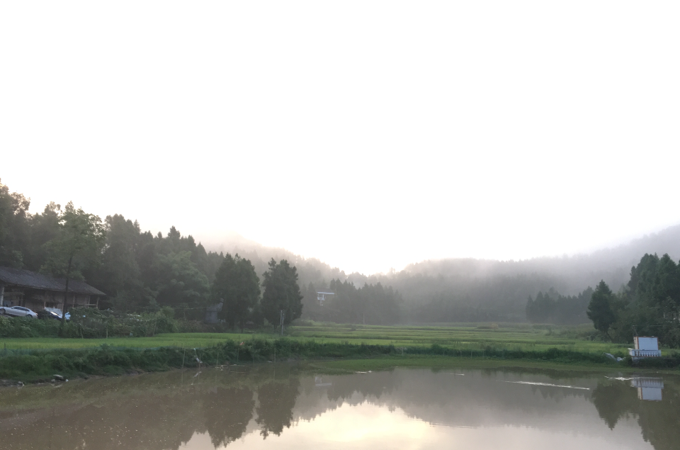 定水鎮(四川南部縣定水鎮)