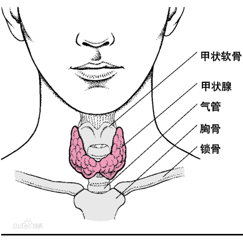 超敏促甲狀腺素