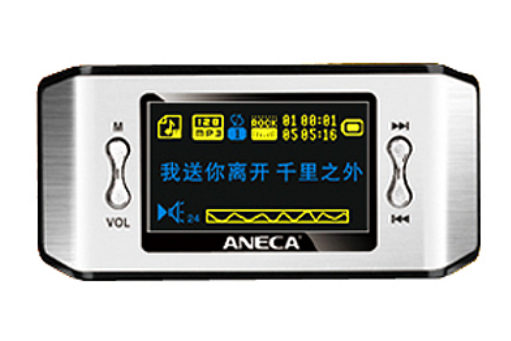 安耐克C-12(1GB)