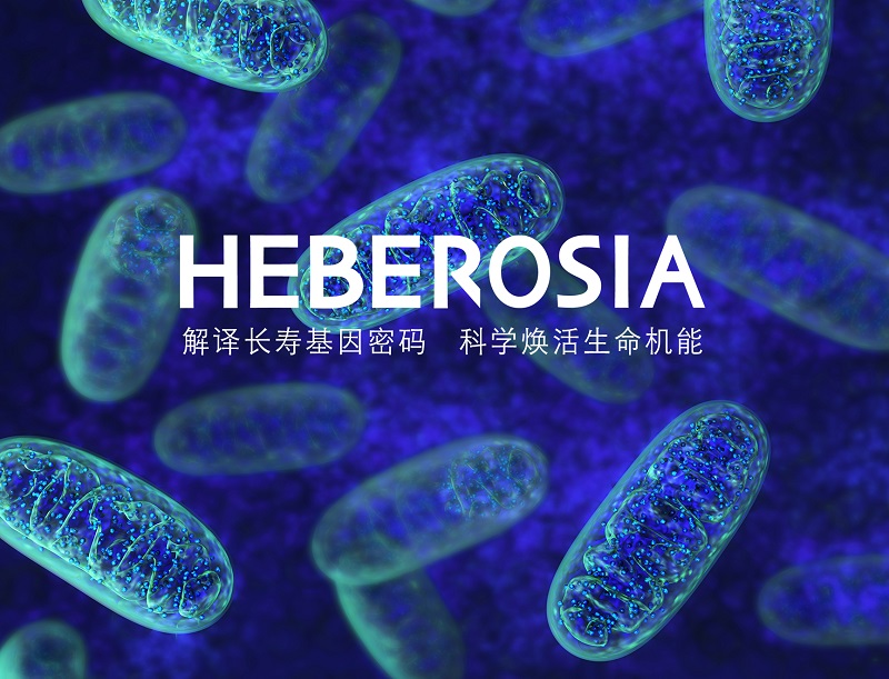 Heberosia