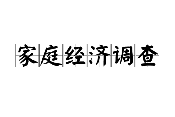 家庭經濟調查