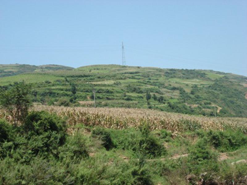 老秧田村山地