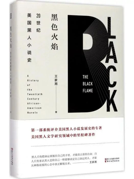 黑色火焰(2017年浙江文藝出版社出版的圖書)