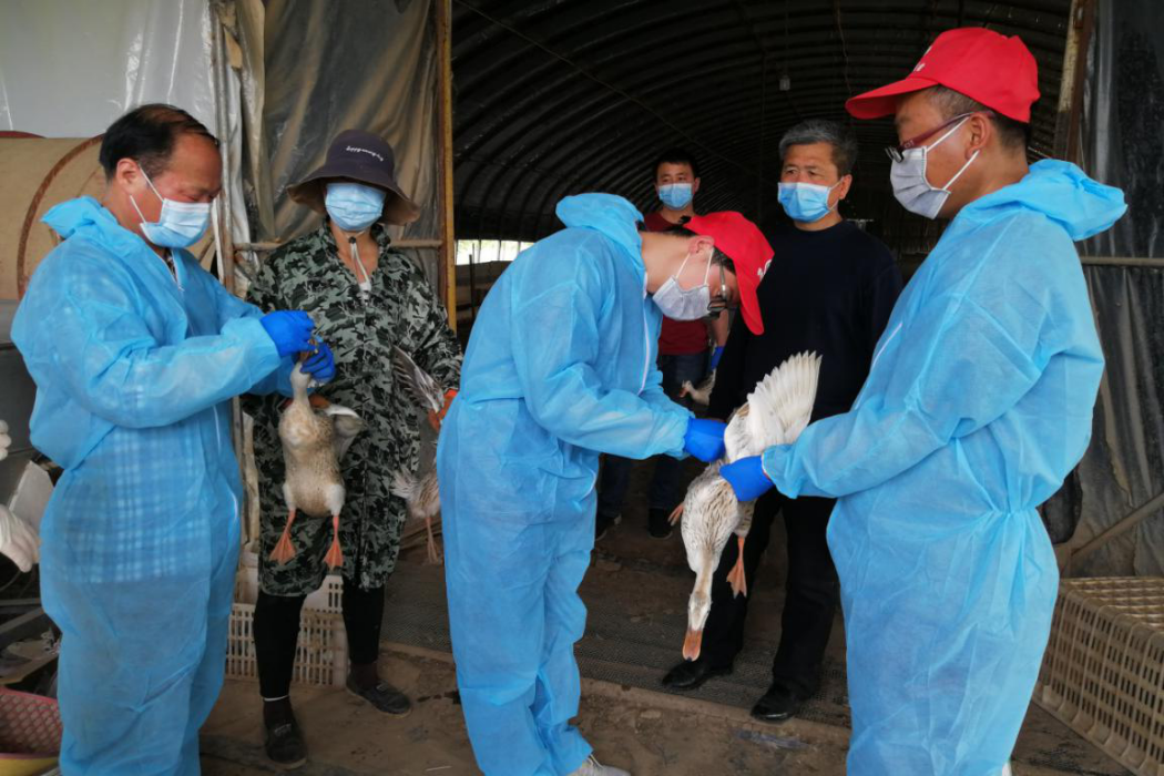 內蒙古動物疫病預防控制中心志願者服務隊