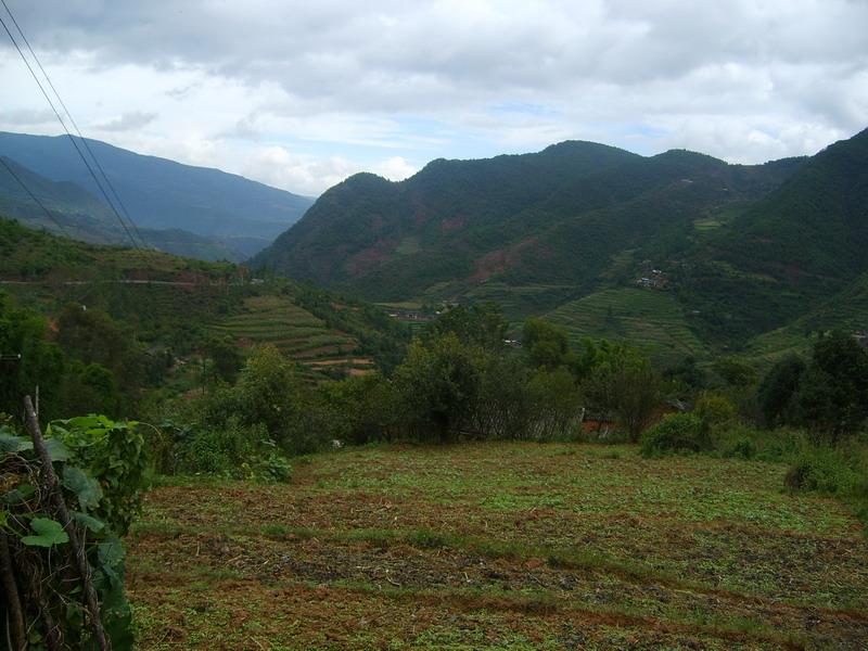 上岩子口村