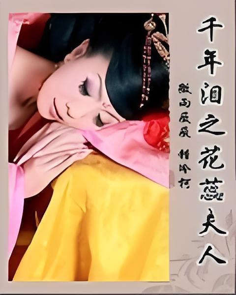 千年淚之花蕊夫人2011版