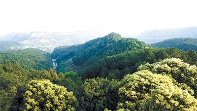 四川榮縣高石梯森林公園