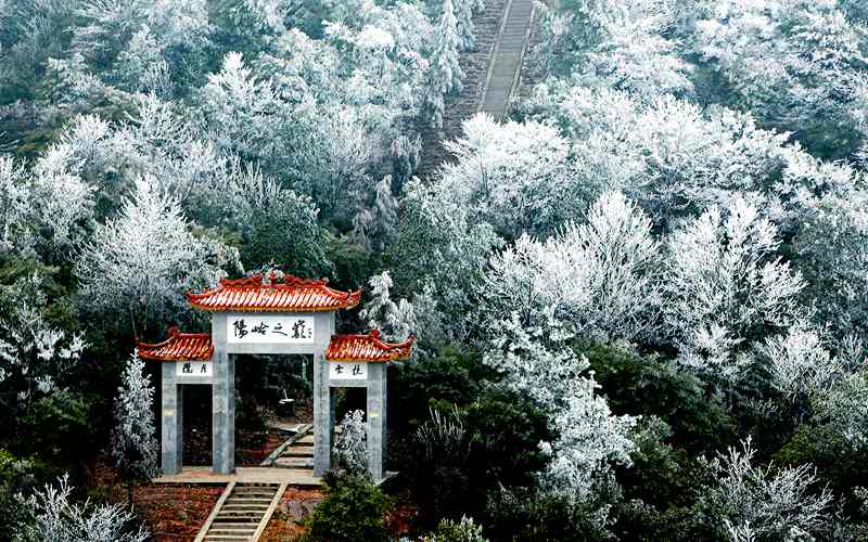 江西陽嶺國家級森林公園