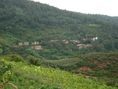 小馬山村