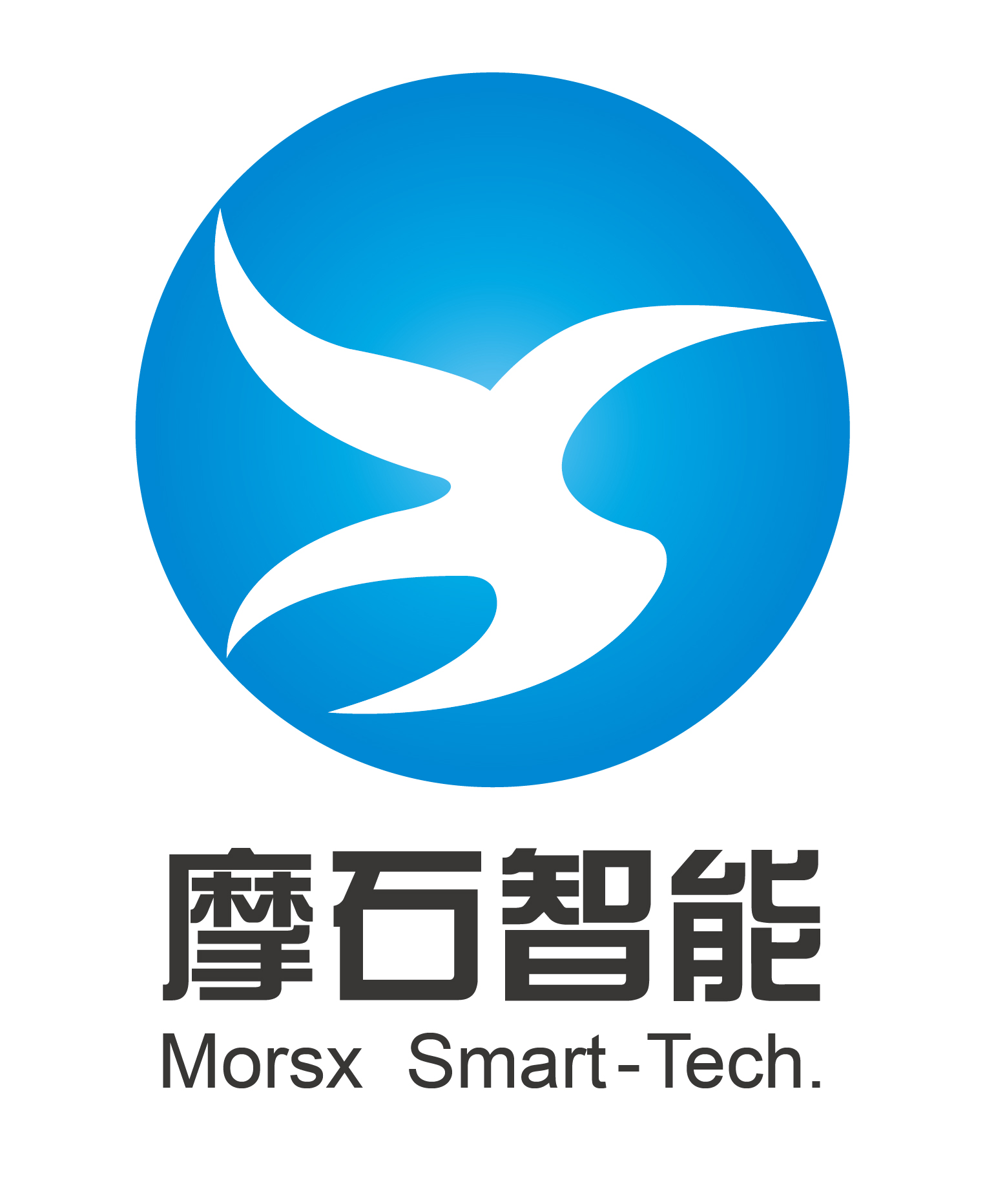 上海摩石智慧型科技有限公司