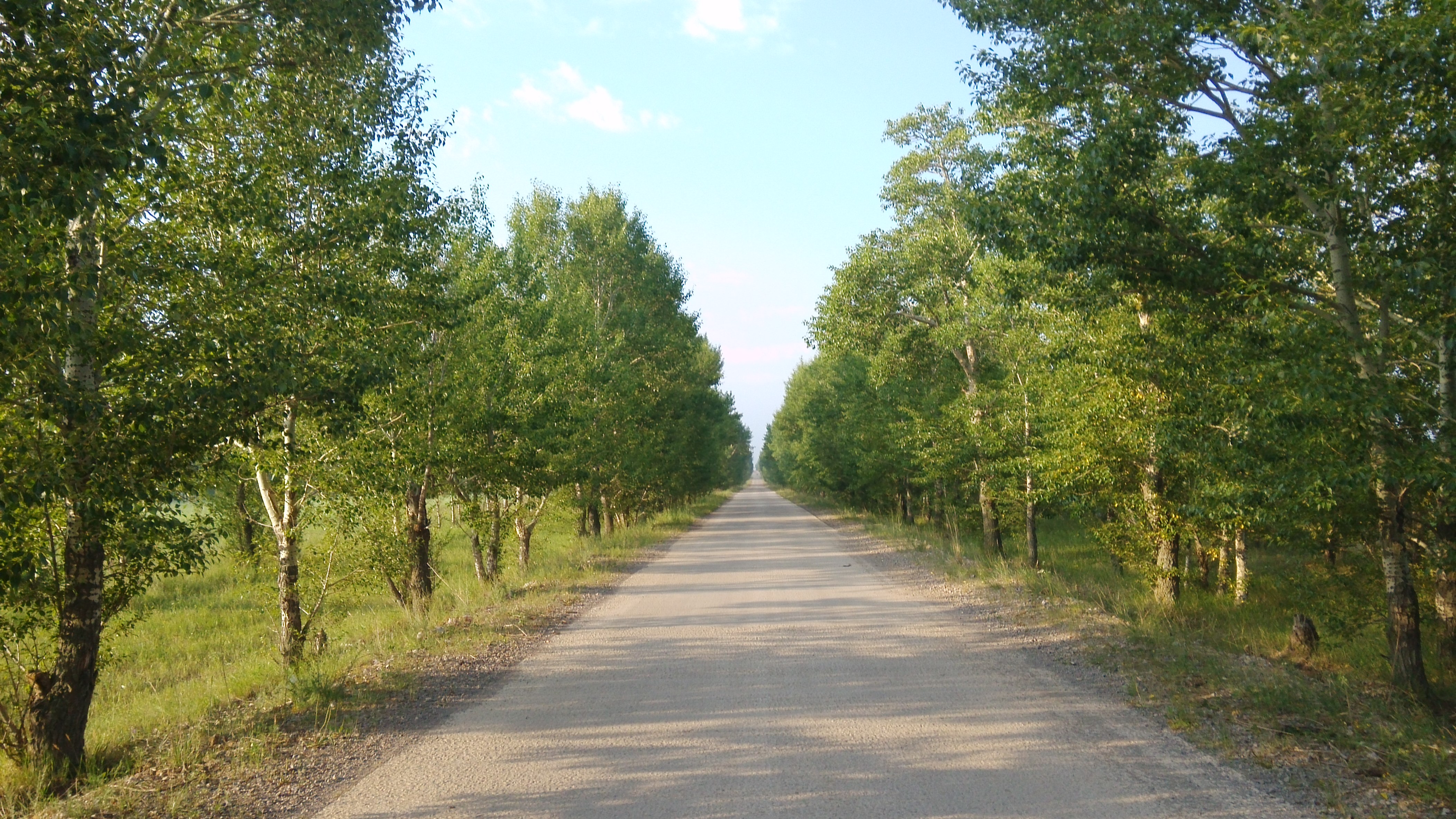 二道木圖村