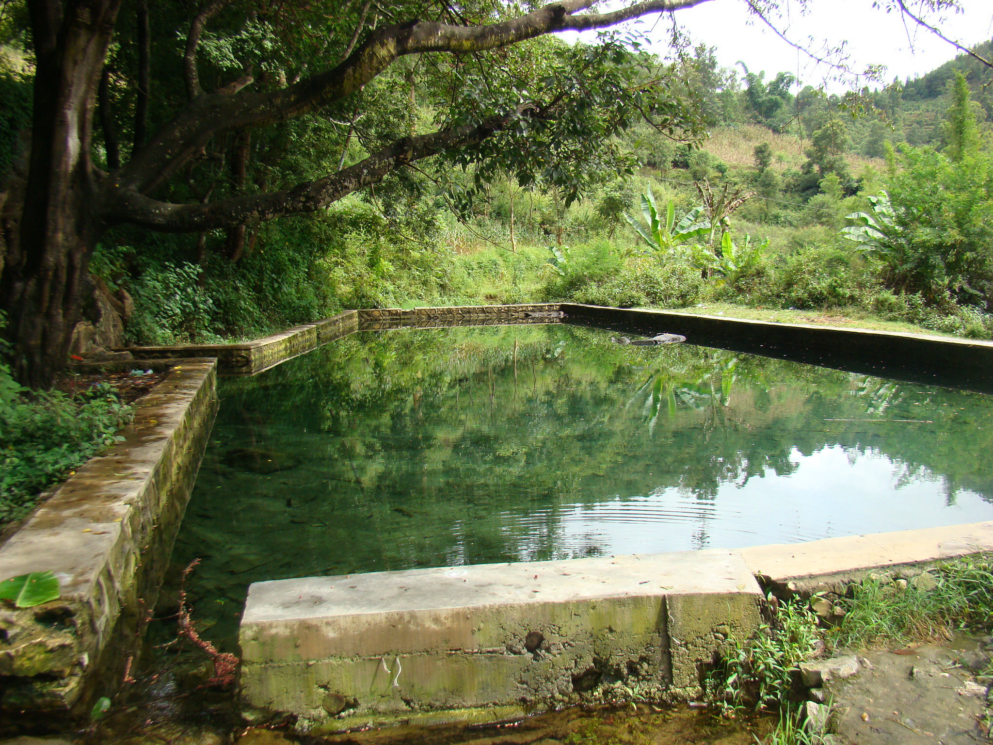 龍洞池