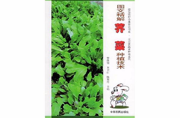 圖文精解薺菜種植技術