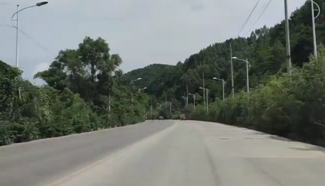 廣西蒼梧飛龍湖國家森林公園