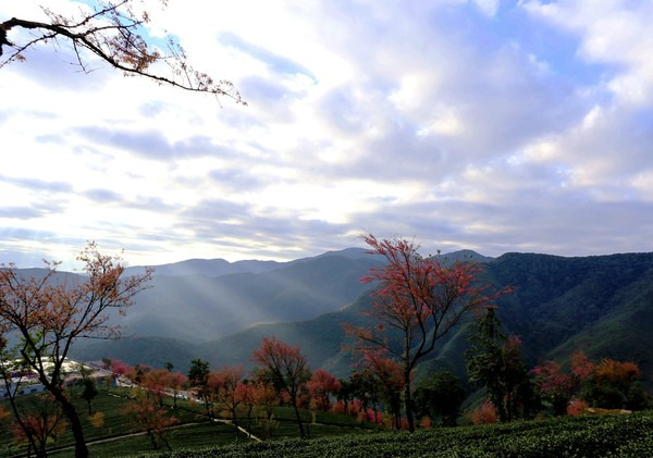 南澗無量山