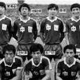 1984年新加坡亞洲杯