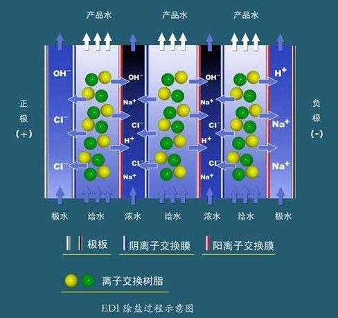 EDI環境下的效益識別與組織重構