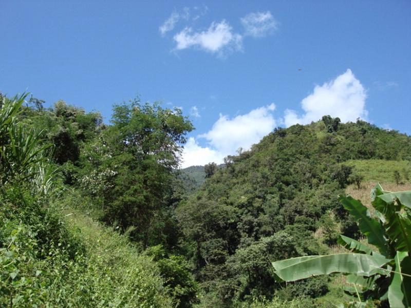 背陰寨村(雲南新平縣漠沙鎮下轄村)