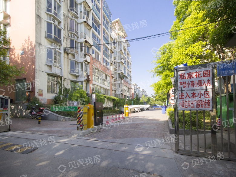 紫金山松林谷實景圖