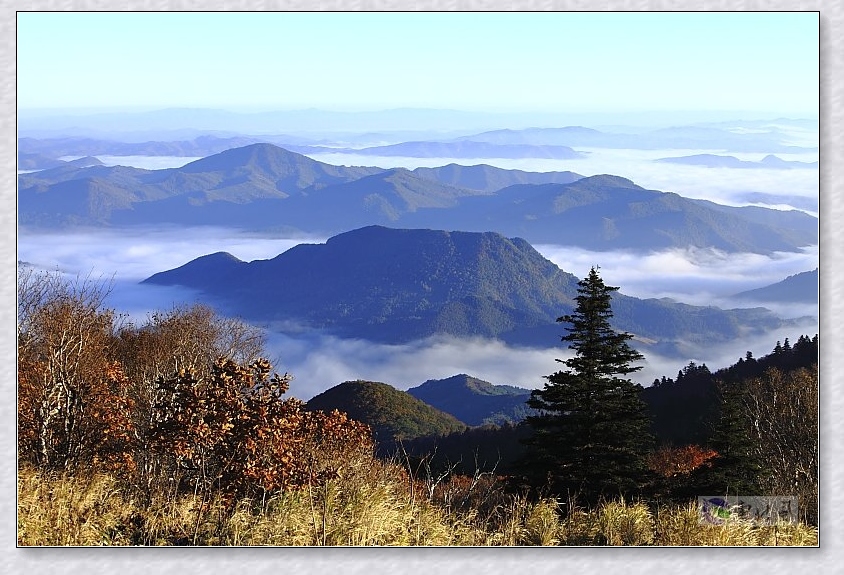 老禿頂子山