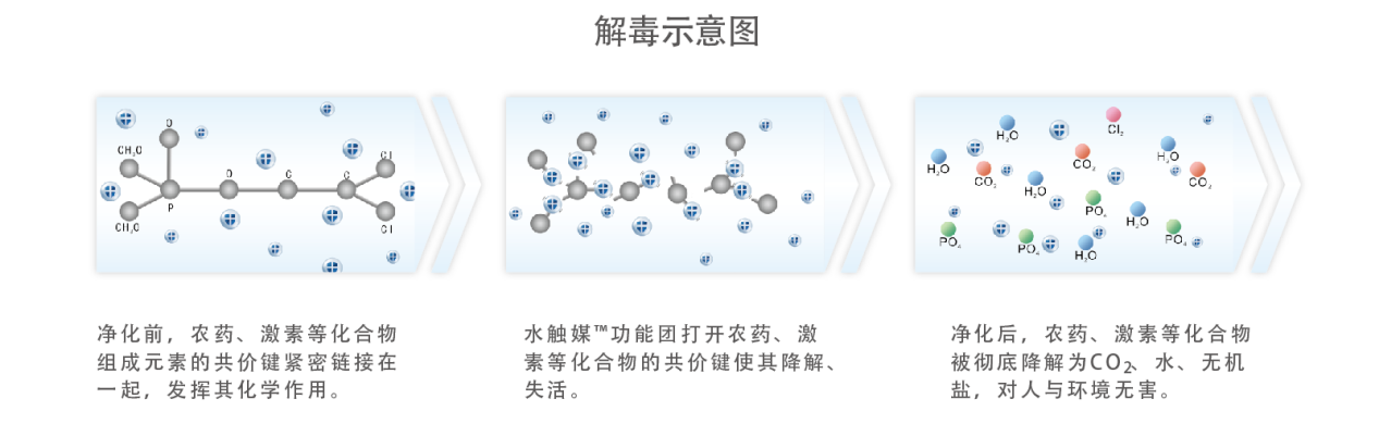 解毒示意圖