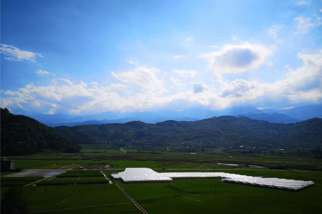 華陽村(四川省涼山州越西縣新民鎮下轄村)