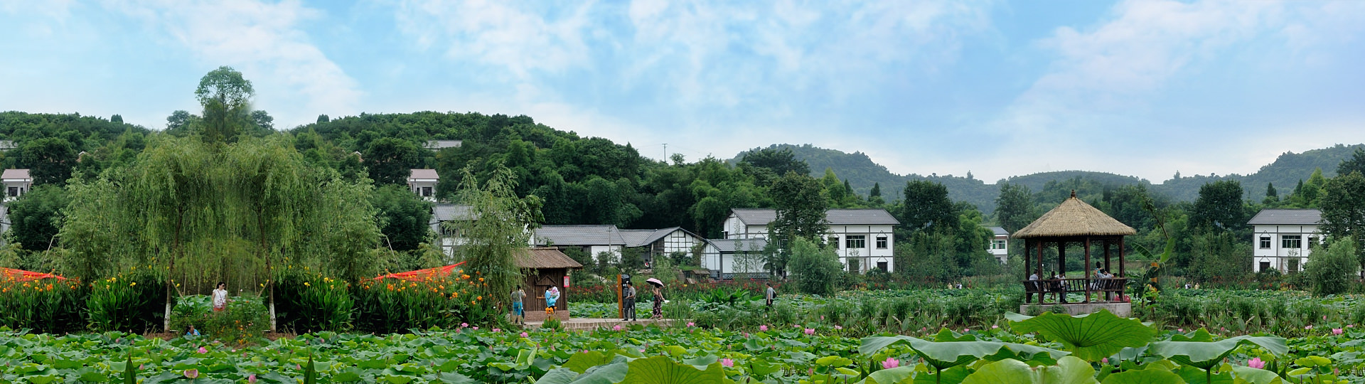 愛蓮湖濕地公園