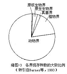 分類階元