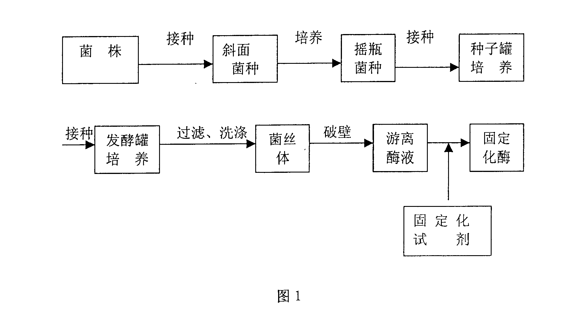 用固定化果糖基轉移酶生產蔗果低聚糖的方法