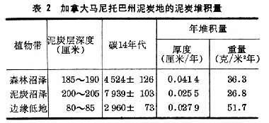 沼澤生態