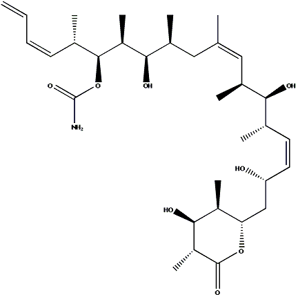 圓皮海綿內酯