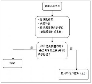 結直腸癌診療規範（2010年版）