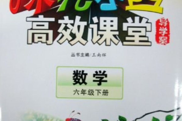 探究樂園高效課堂導學案數學六年級下