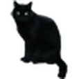 BlackCatSticker