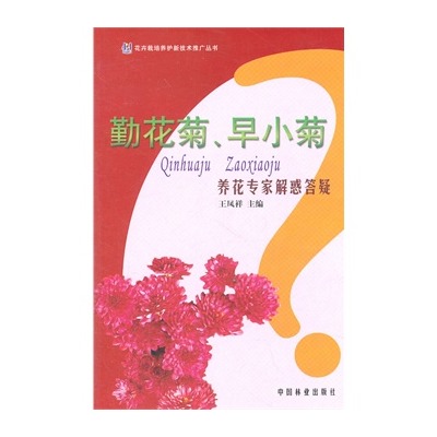 勤花菊、早小菊養花專家解惑答疑