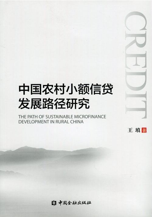 中國農村小額信貸發展路徑研究