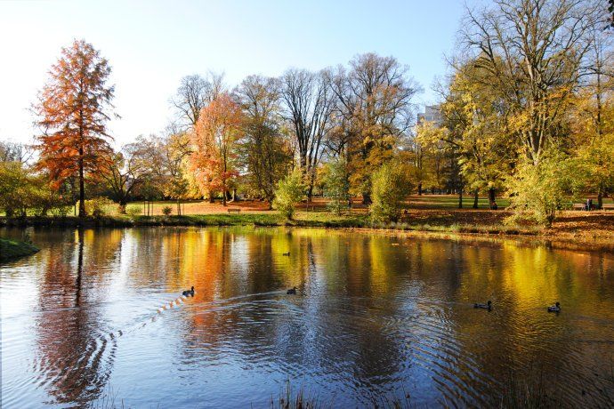 療養公園